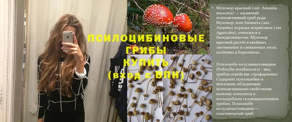 крисы Алексеевка