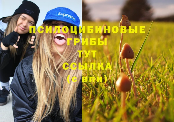 MDMA Алзамай